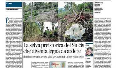 corriere_stella_marganai