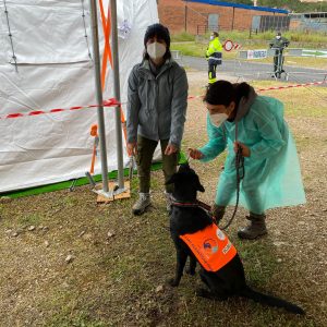 Pnrr, Fitto “Su terza rata svolto lavoro positivo, siamo fidiciosi